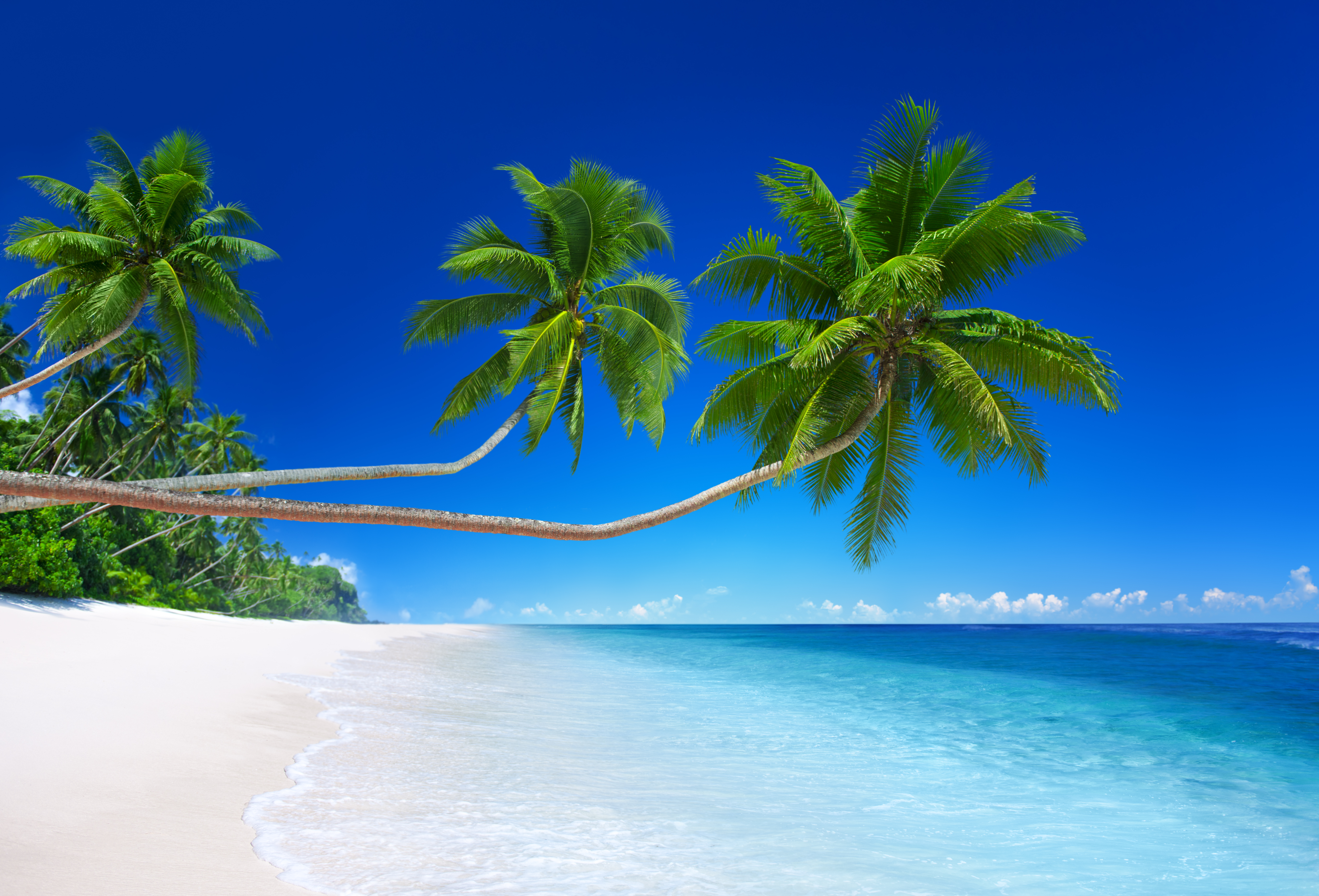 Beach Holidays